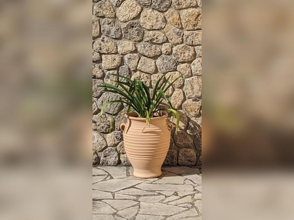 Áfra Villa Kalokairi מראה חיצוני תמונה
